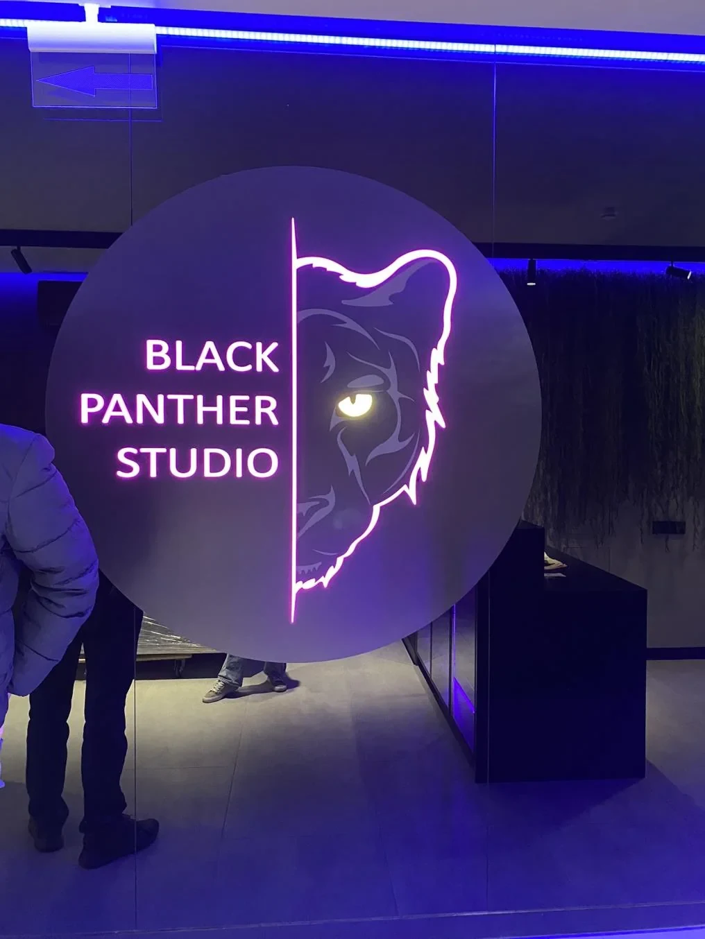 Black Panther Studio — входная зона
