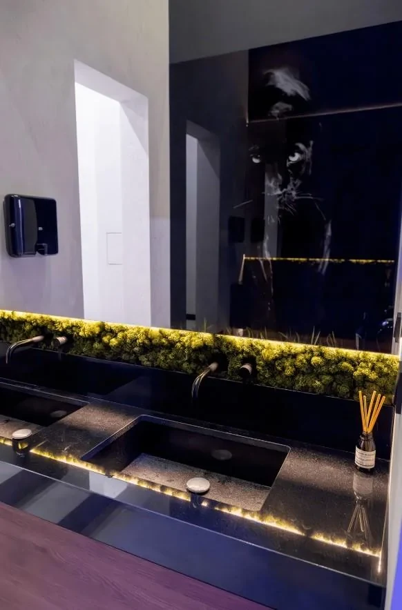 Black Panther Studio — санузел